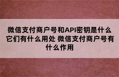 微信支付商户号和API密钥是什么它们有什么用处 微信支付商户号有什么作用